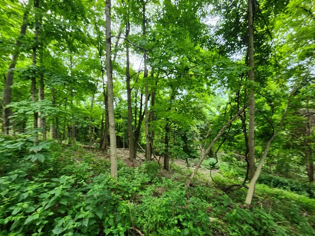 $112,900 | 0 Markland Pike, Patriot, IN 47038