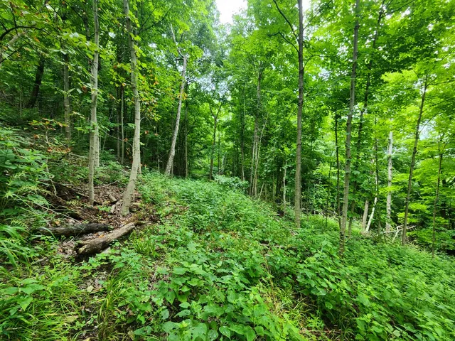 $112,900 | 0 Markland Pike, Patriot, IN 47038