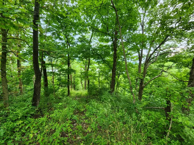 $112,900 | 0 Markland Pike, Patriot, IN 47038