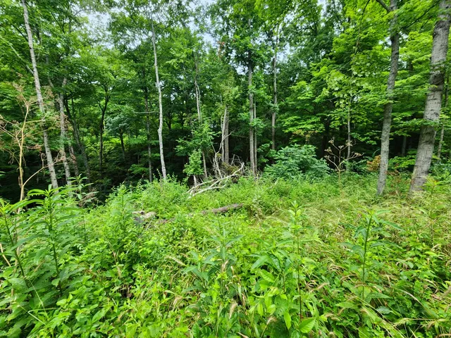 $112,900 | 0 Markland Pike, Patriot, IN 47038