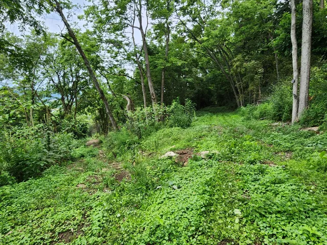 $112,900 | 0 Markland Pike, Patriot, IN 47038