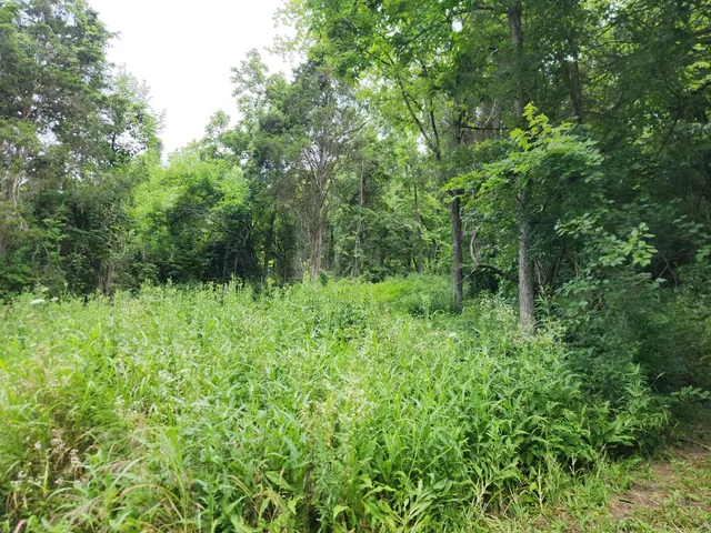 $112,900 | 0 Markland Pike, Patriot, IN 47038