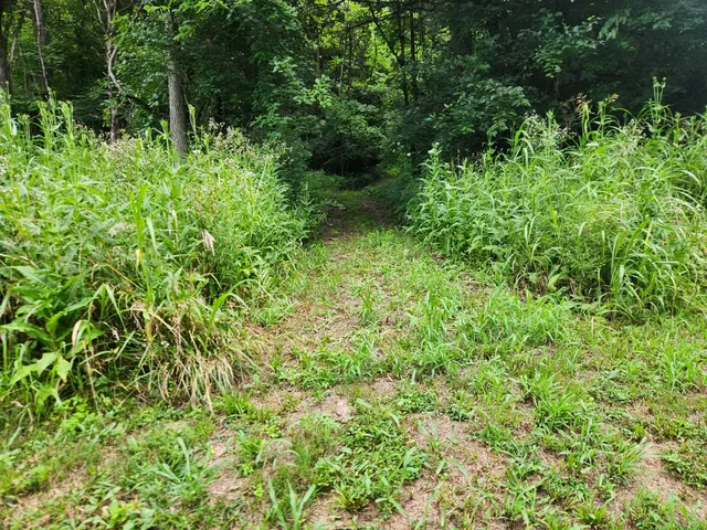 $112,900 | 0 Markland Pike, Patriot, IN 47038