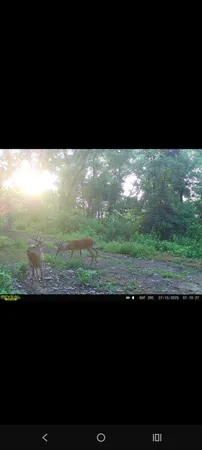 $112,900 | 0 Markland Pike, Patriot, IN 47038