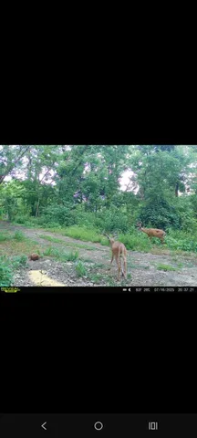 $112,900 | 0 Markland Pike, Patriot, IN 47038