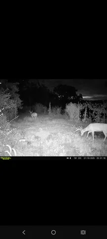 $112,900 | 0 Markland Pike, Patriot, IN 47038