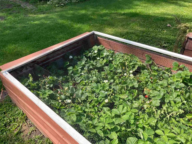 $374,900 | 435 South Main Street, Fall River, WI 53932