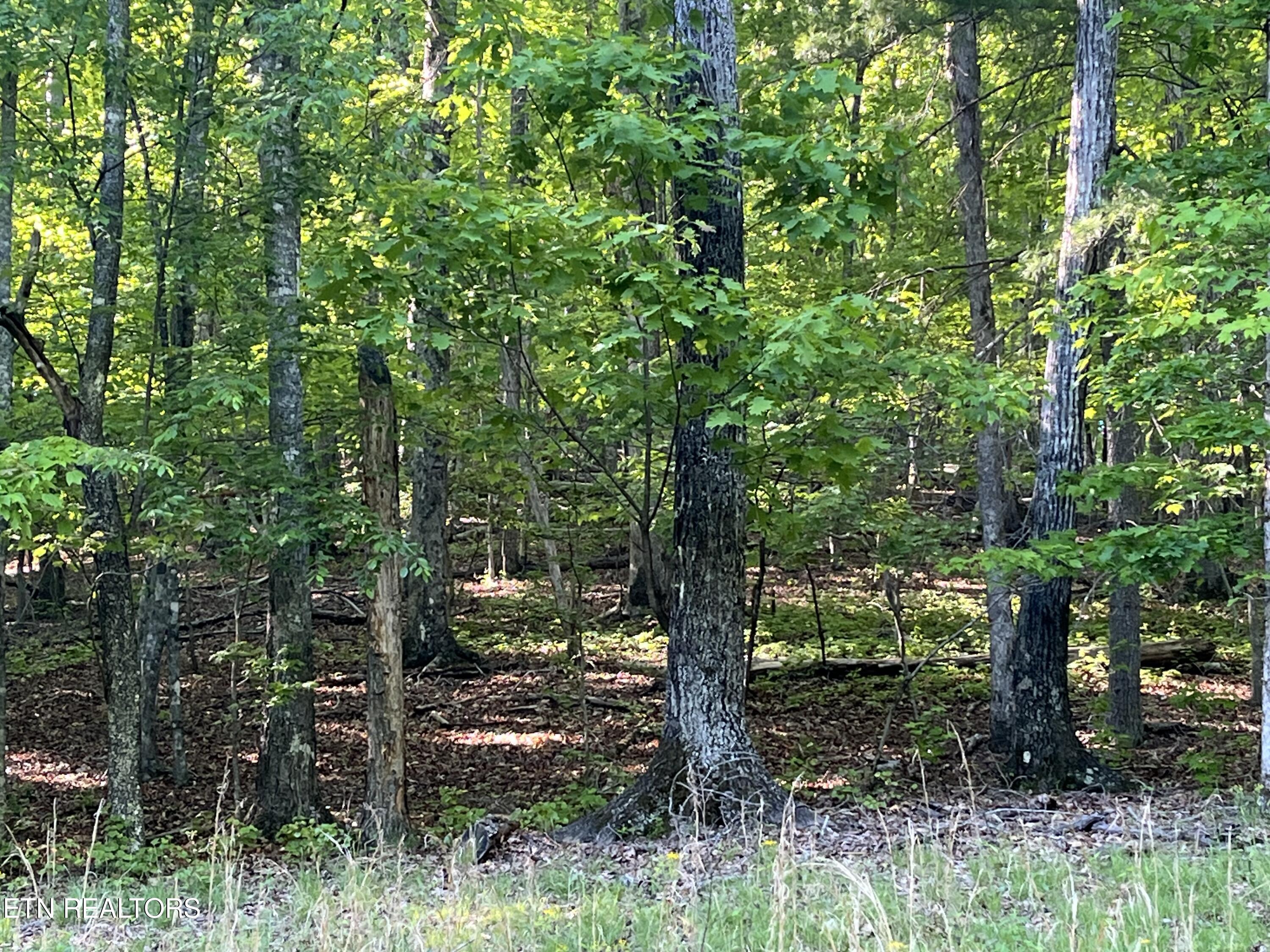 Lot 695 Rockview Dr Spring Spring City, TN 37381 - Photo 1 of 3 IMG_8261