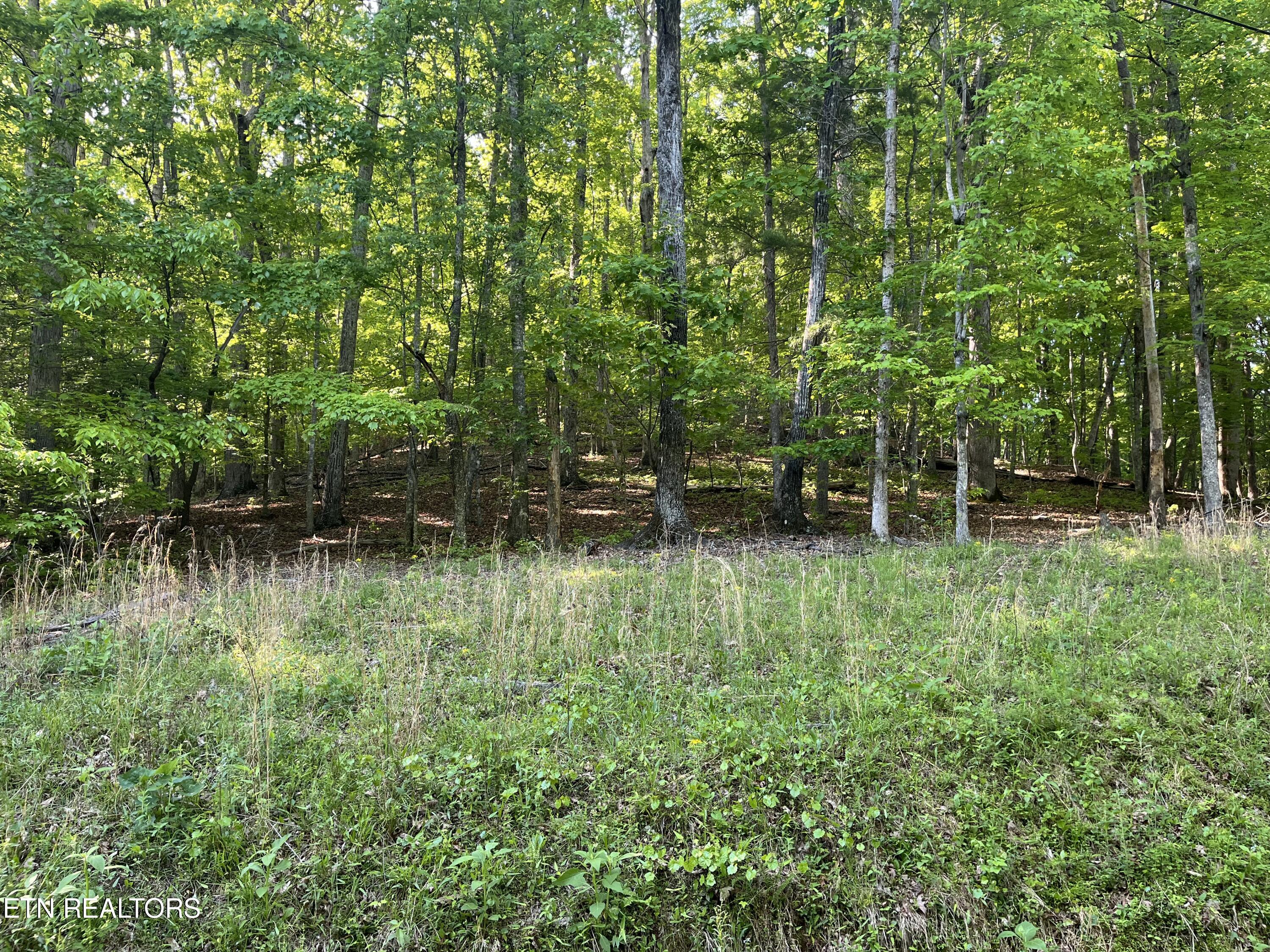 Lot 695 Rockview Dr Spring Spring City, TN 37381 - Photo 3 of 3 IMG_8260