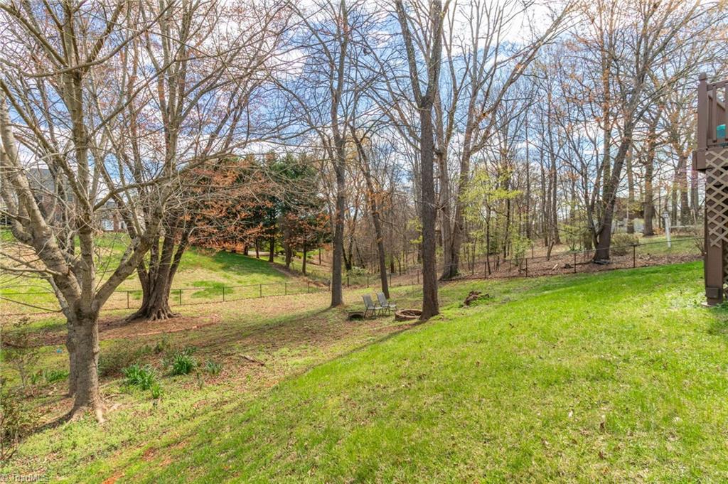 3525 Transou Road Pfafftown, NC 27040 - Photo 29 of 29