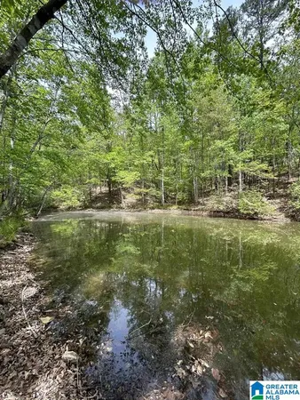 $69,900 | 123 Red Cedar Drive, Unit 123, Heflin, AL 36264