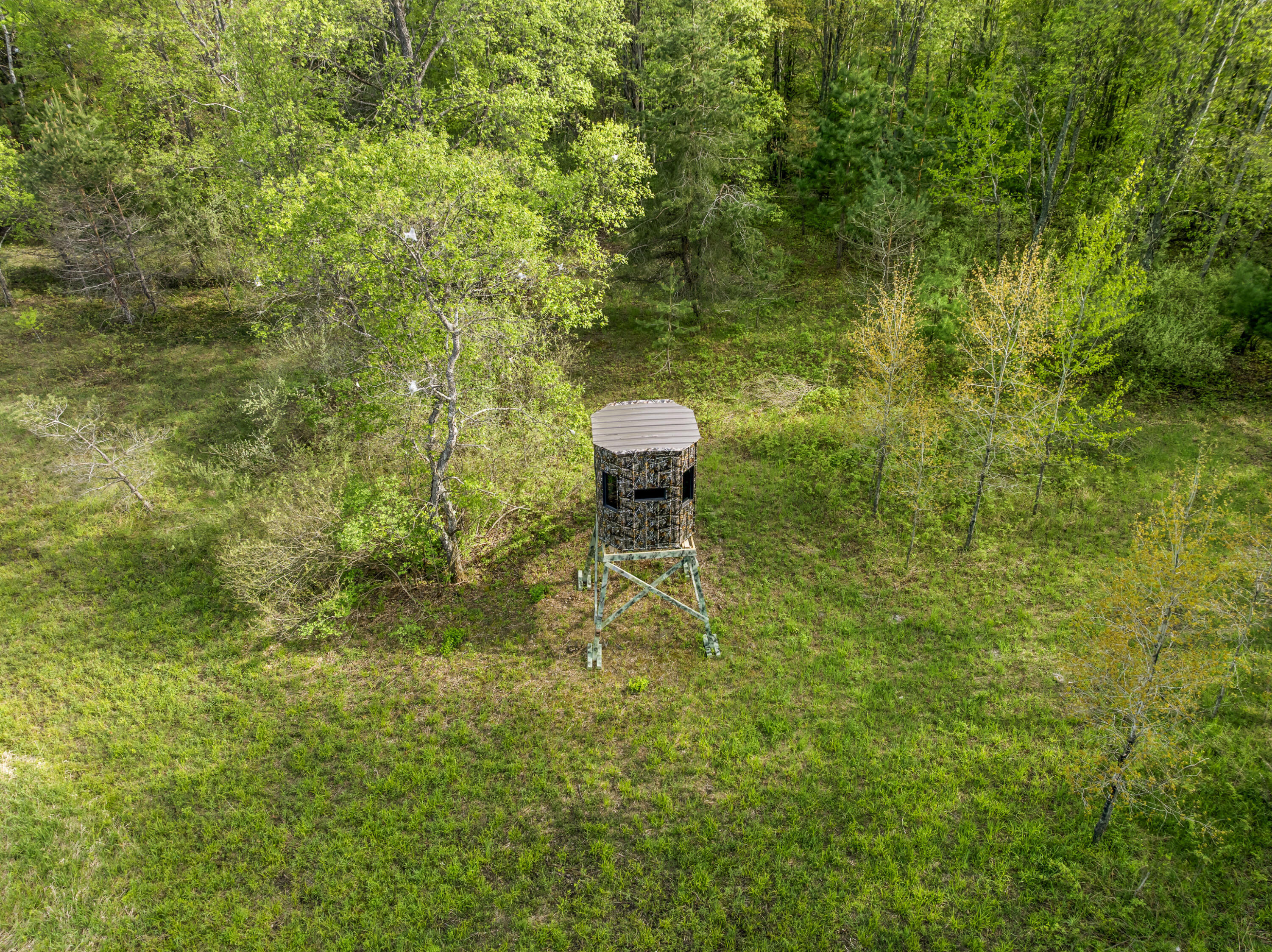 0 Dzuibanek Road Thompsonville, MI 49683 - Photo 8 of 21 DJI_20260522174601_0088_D