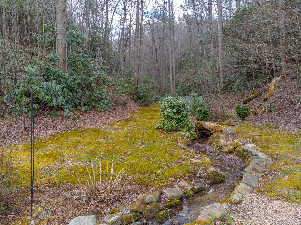 1107 Panther Creek Road Almond, NC 28702 - Photo 45 of 52