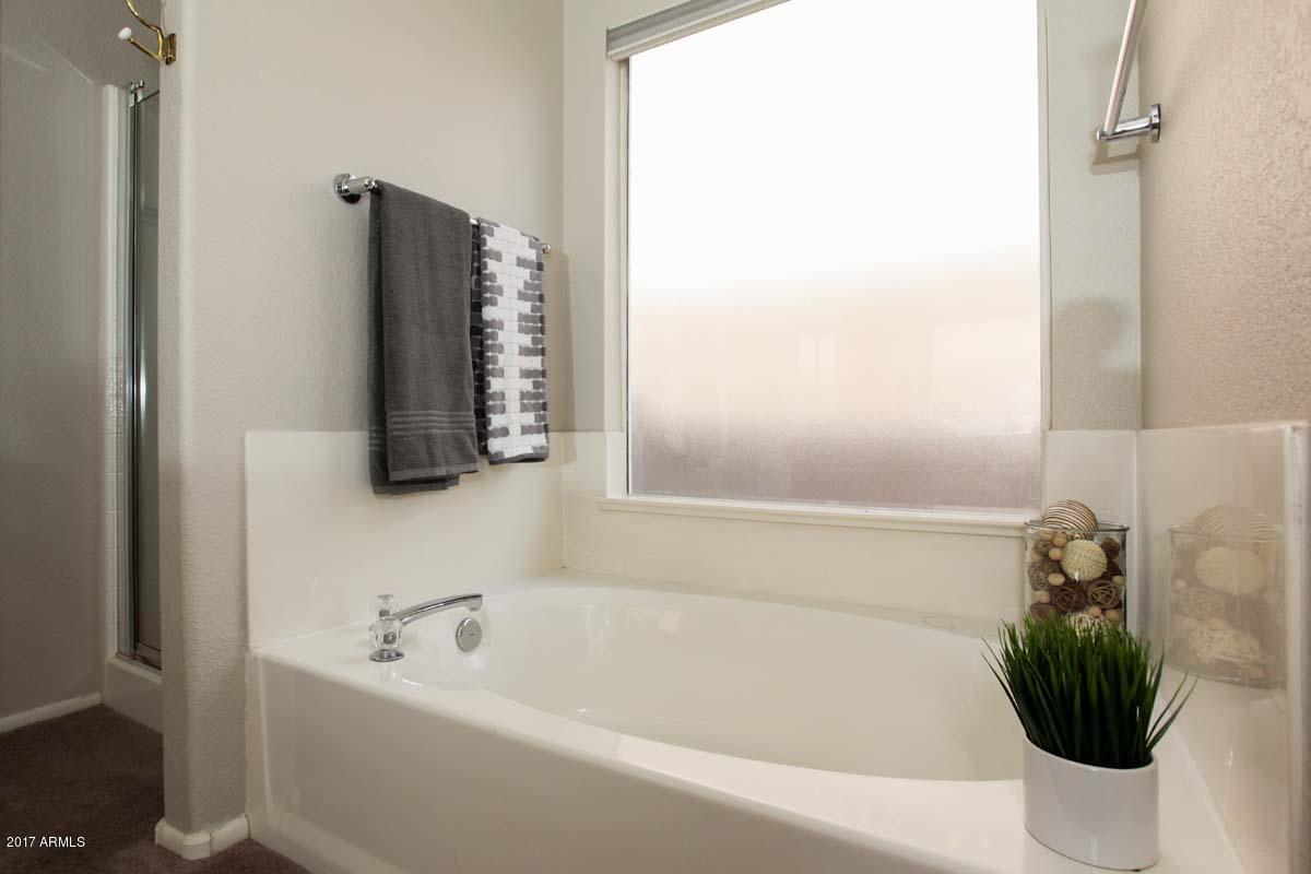 271 East Nunneley Road Gilbert, AZ 85296 - Photo 19 of 29 Master Bath-Garden Tub