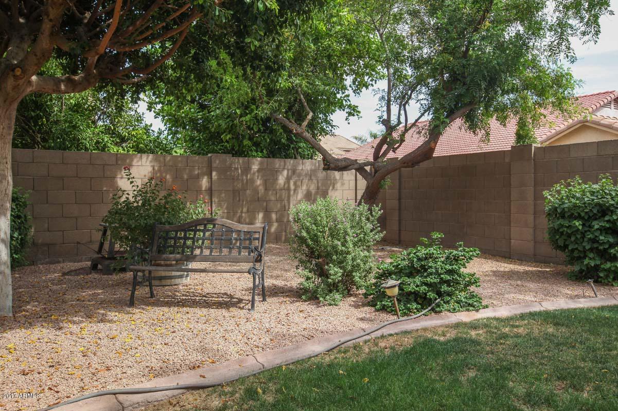 271 East Nunneley Road Gilbert, AZ 85296 - Photo 26 of 29 Backyard2