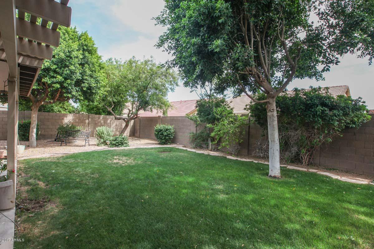 271 East Nunneley Road Gilbert, AZ 85296 - Photo 29 of 29 Patio View