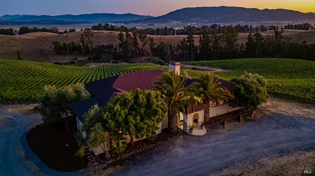 a view of a backyard with plants and a lake view