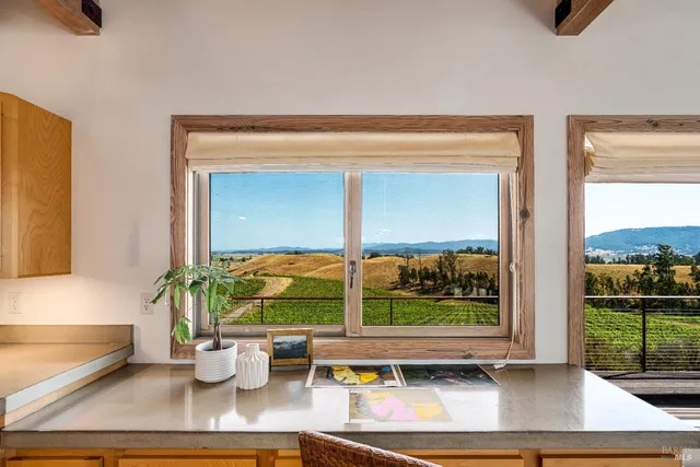 a view of a yard and an trees
