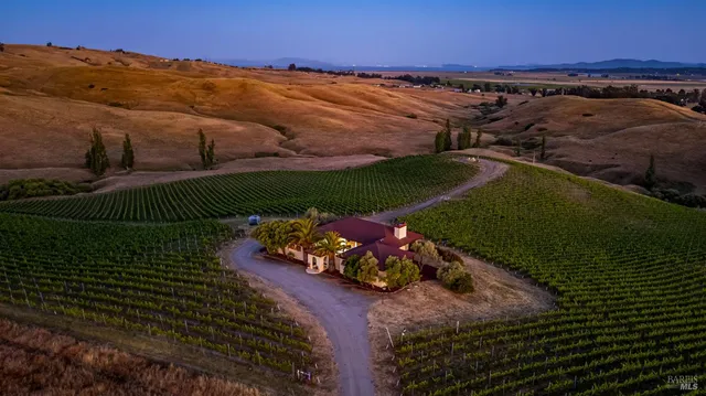 a view of a yard with an outdoor space
