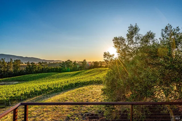 a bed room with a bed and a couch