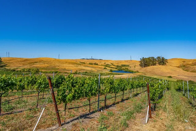 $3,595,000 | 6513 Lakeville Highway, Petaluma, CA 94954