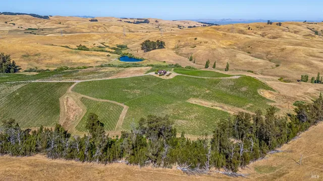 a front view of a house with many windows