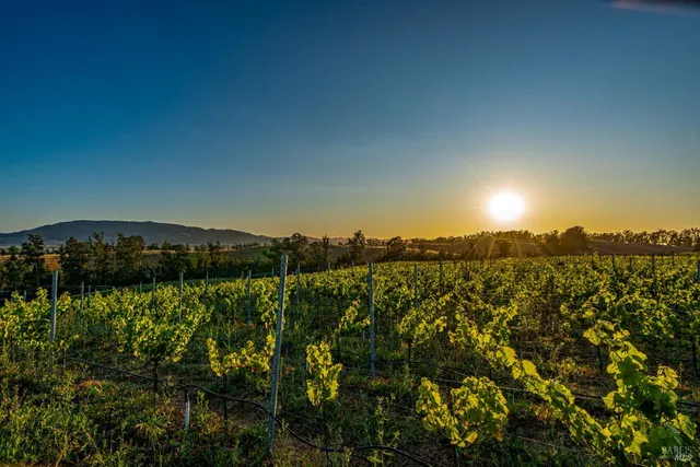 $3,595,000 | 6513 Lakeville Highway, Petaluma, CA 94954