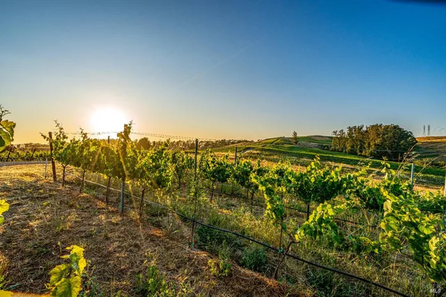 $3,595,000 | 6513 Lakeville Highway, Petaluma, CA 94954