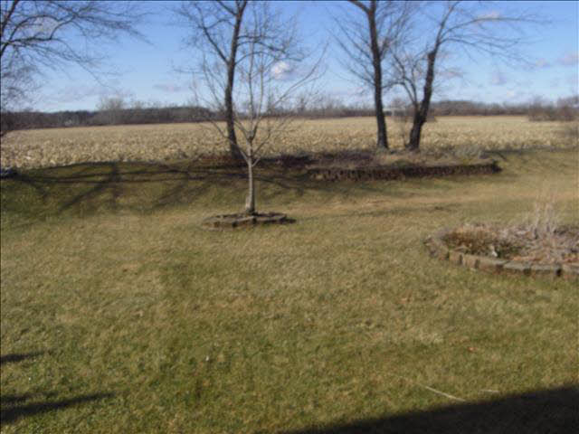 267 Ruff Drive Monroe, MI 48162 - Photo 3 of 13 HUGE BACK YARD