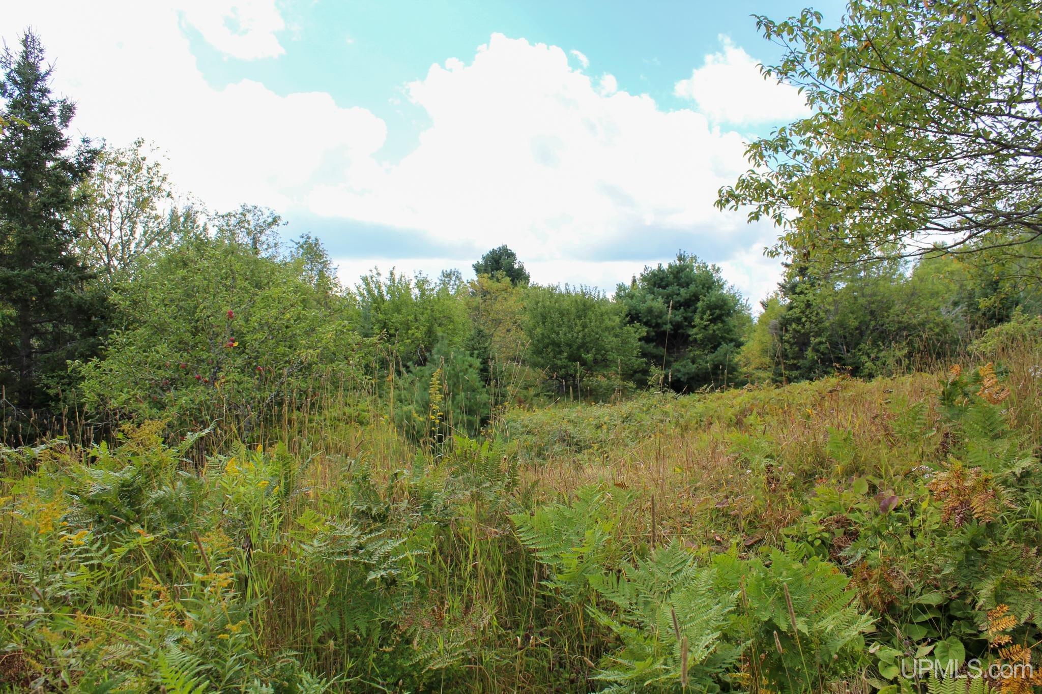 Tbd Michaelson Road Pelkie, MI 49958 - Photo 48 of 73 Gallery Image 48