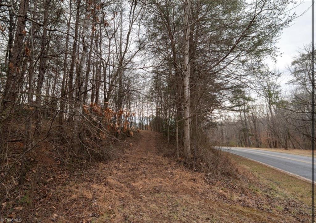0 Long Hill Road Pilot Mountain, NC 27041 - Photo 12 of 19 Gallery Image 12