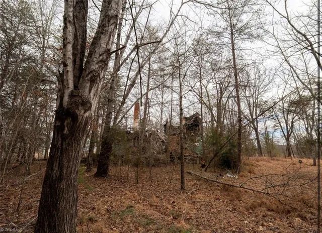 $50,000 | 0 Long Hill Road, Pilot Mountain, NC 27041