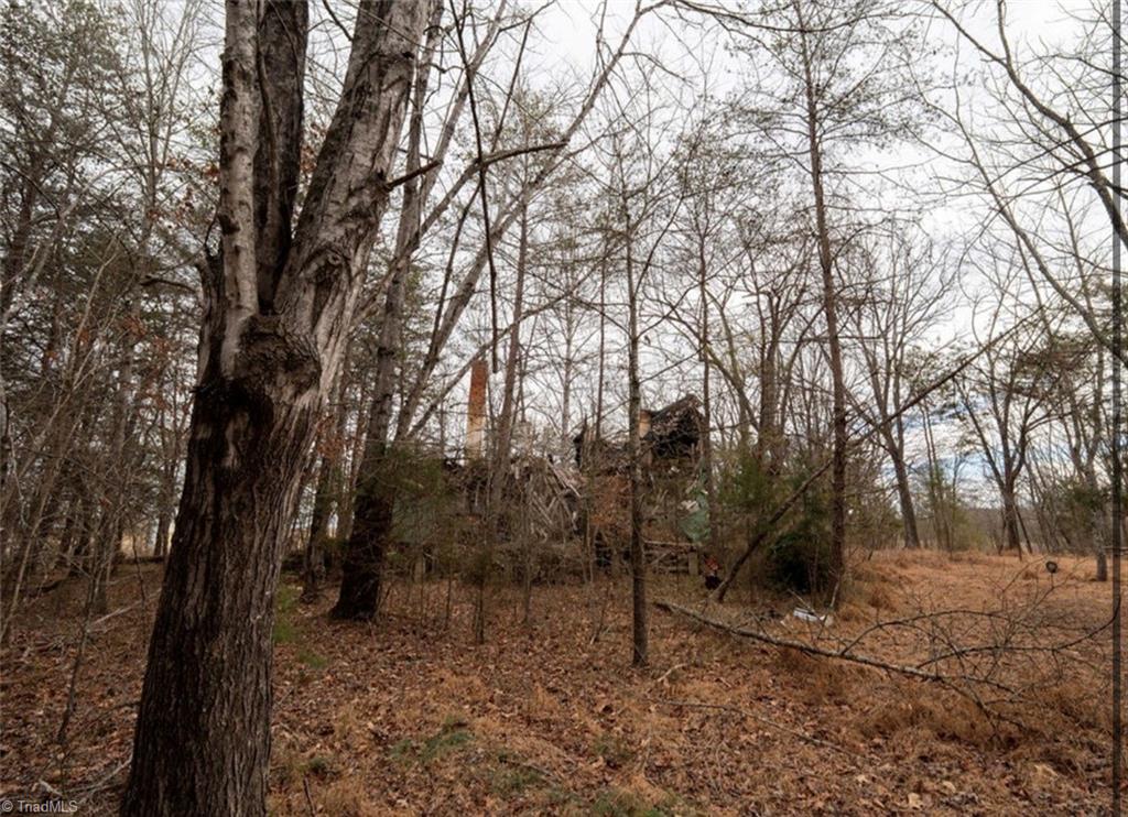 0 Long Hill Road Pilot Mountain, NC 27041 - Photo 13 of 19 Gallery Image 13