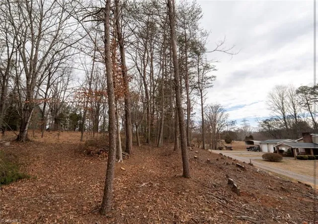 $50,000 | 0 Long Hill Road, Pilot Mountain, NC 27041