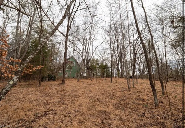$50,000 | 0 Long Hill Road, Pilot Mountain, NC 27041