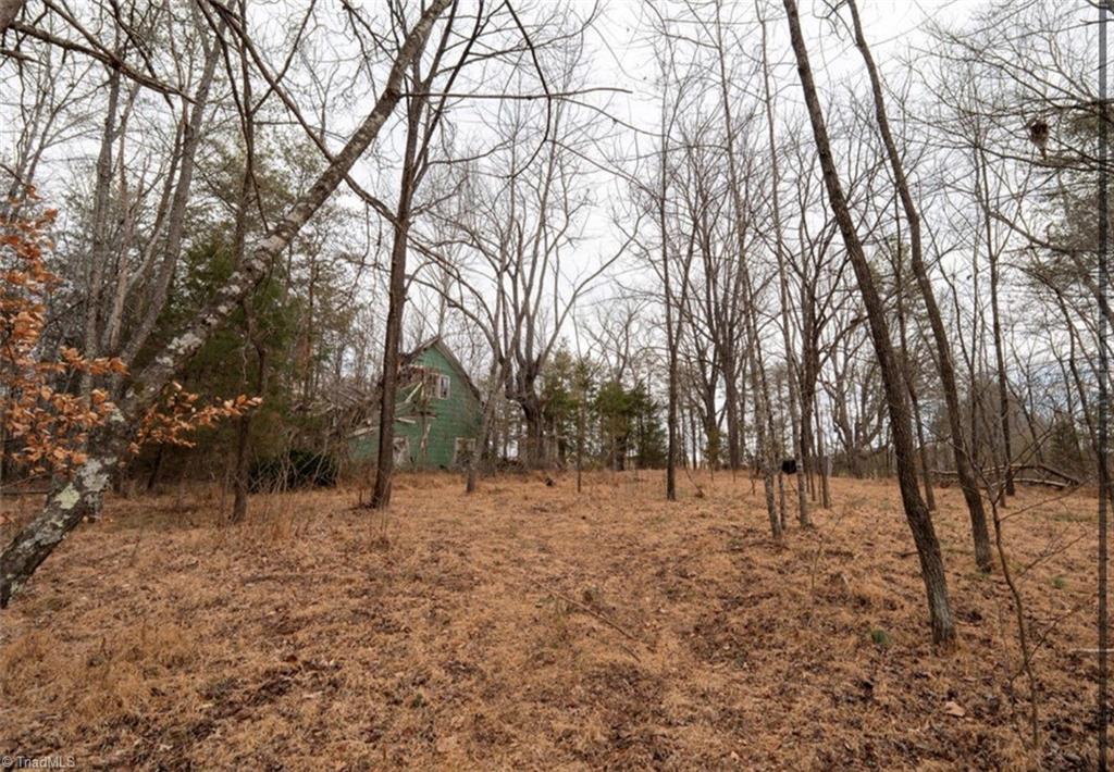 0 Long Hill Road Pilot Mountain, NC 27041 - Photo 15 of 19 Gallery Image 15