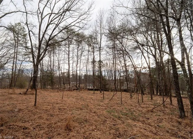 $50,000 | 0 Long Hill Road, Pilot Mountain, NC 27041