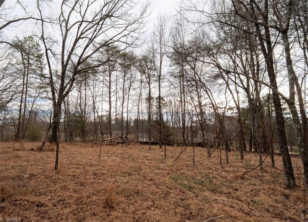 0 Long Hill Road Pilot Mountain, NC 27041 - Photo 17 of 19 Gallery Image 17