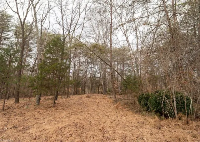 $50,000 | 0 Long Hill Road, Pilot Mountain, NC 27041