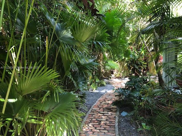 3797 El Prado Boulevard Miami, FL 33133 - Photo 21 of 26 a plant that is in a garden