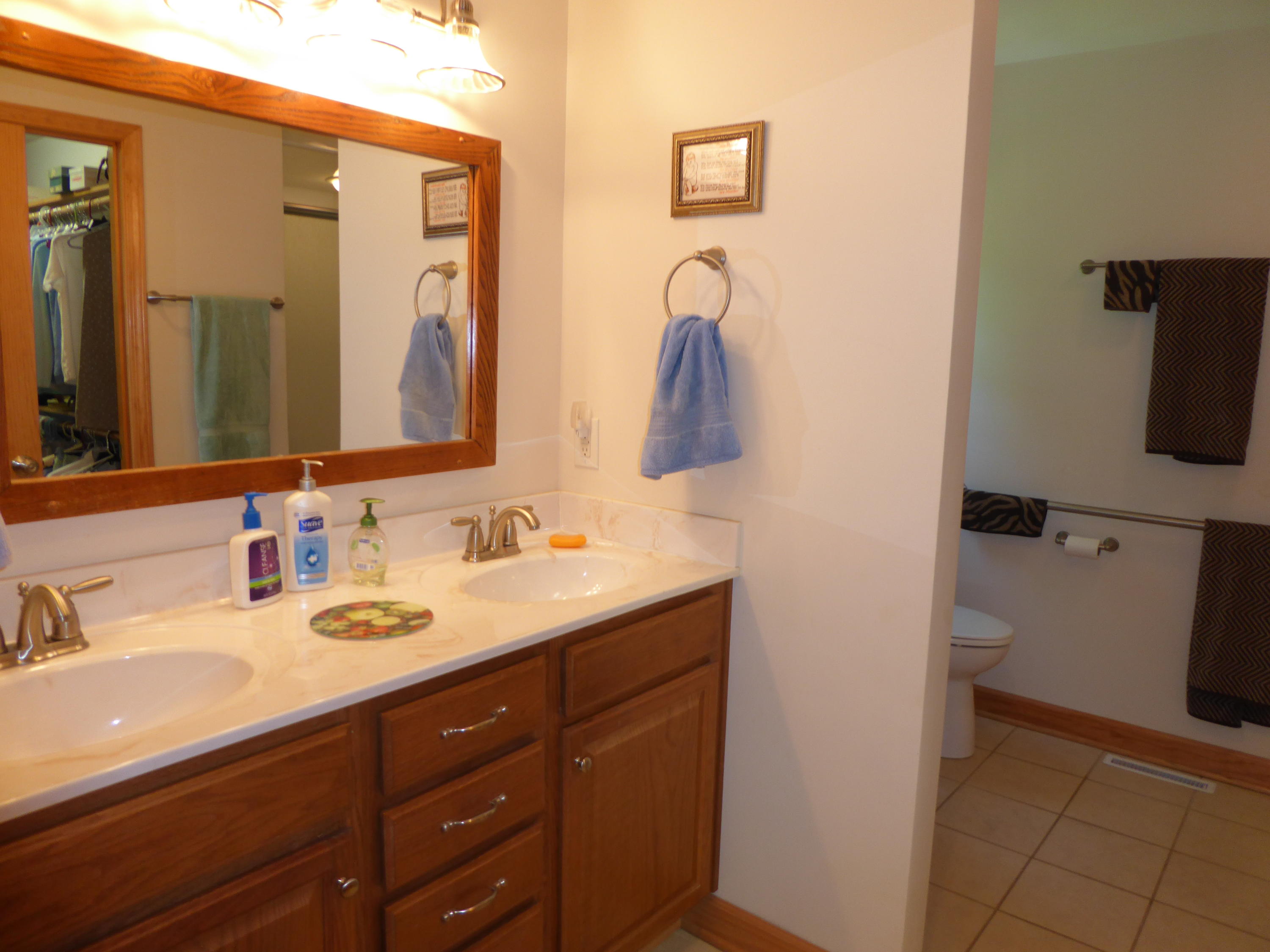 831 Webster Road Glade Hill, VA 24092 - Photo 9 of 43 Master Bath