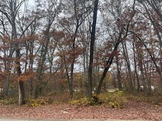 1947 South Dangl Road Muskegon, MI 49442 - Photo 3 of 5 3