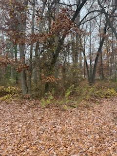 1947 South Dangl Road Muskegon, MI 49442 - Photo 4 of 5 4