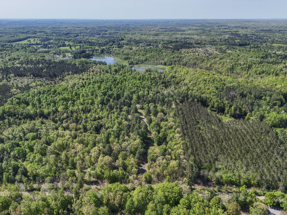 11547 1 Mile Road Leroy, MI 49655 - Photo 5 of 73 8_