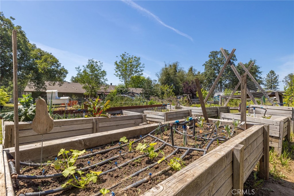 31477 Erie Road Coarsegold, CA 93614 - Photo 40 of 60 Gallery Image 40