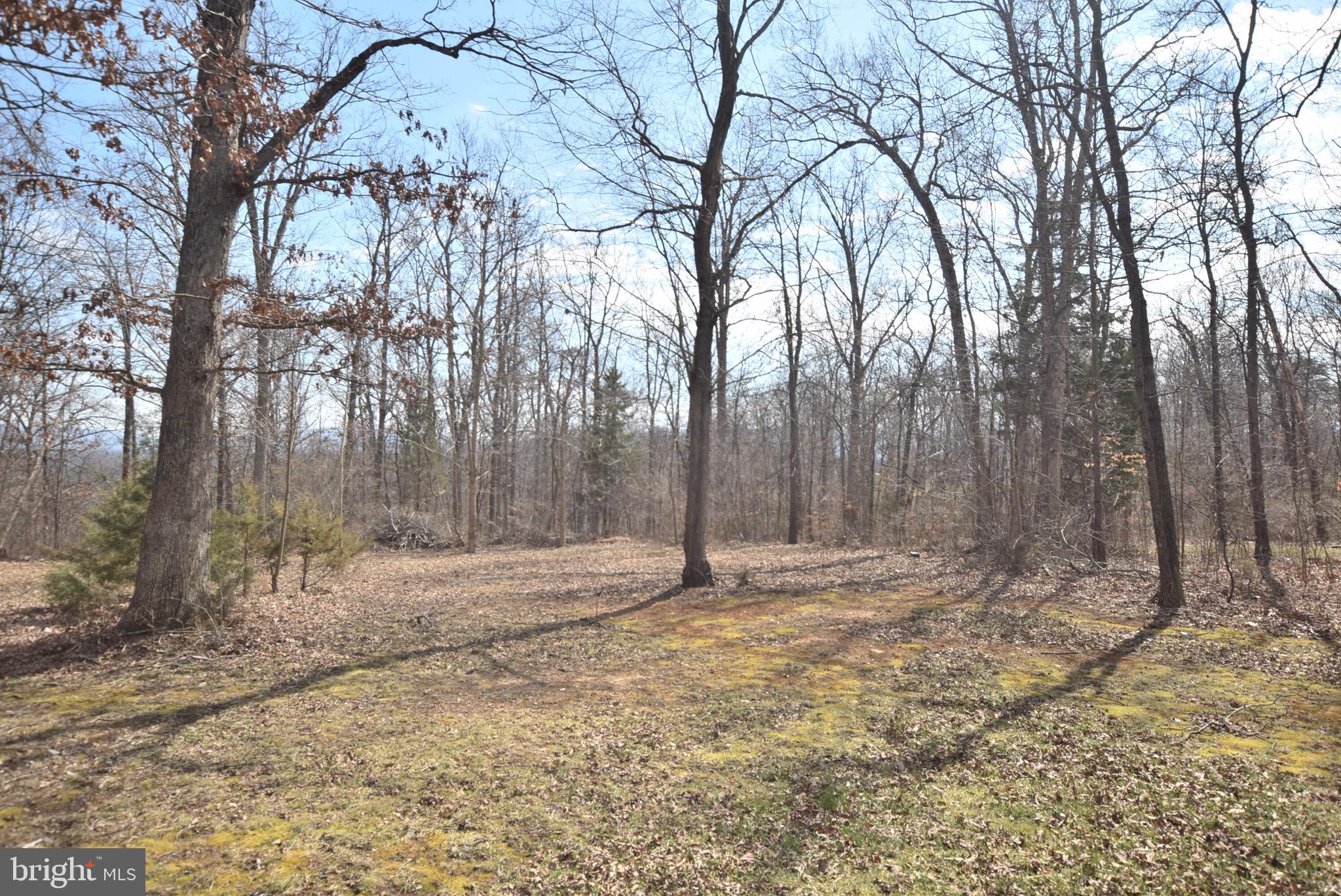 246 Lower View Road Strasburg, VA 22657 - Photo 23 of 23 Back Yard