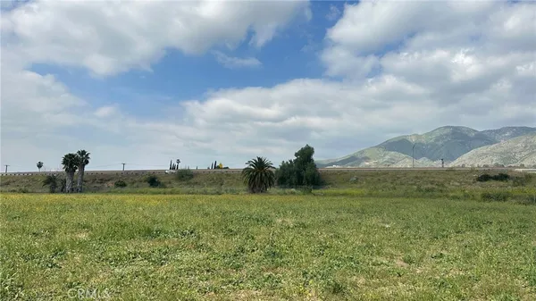 a view of a field with an trees in the background