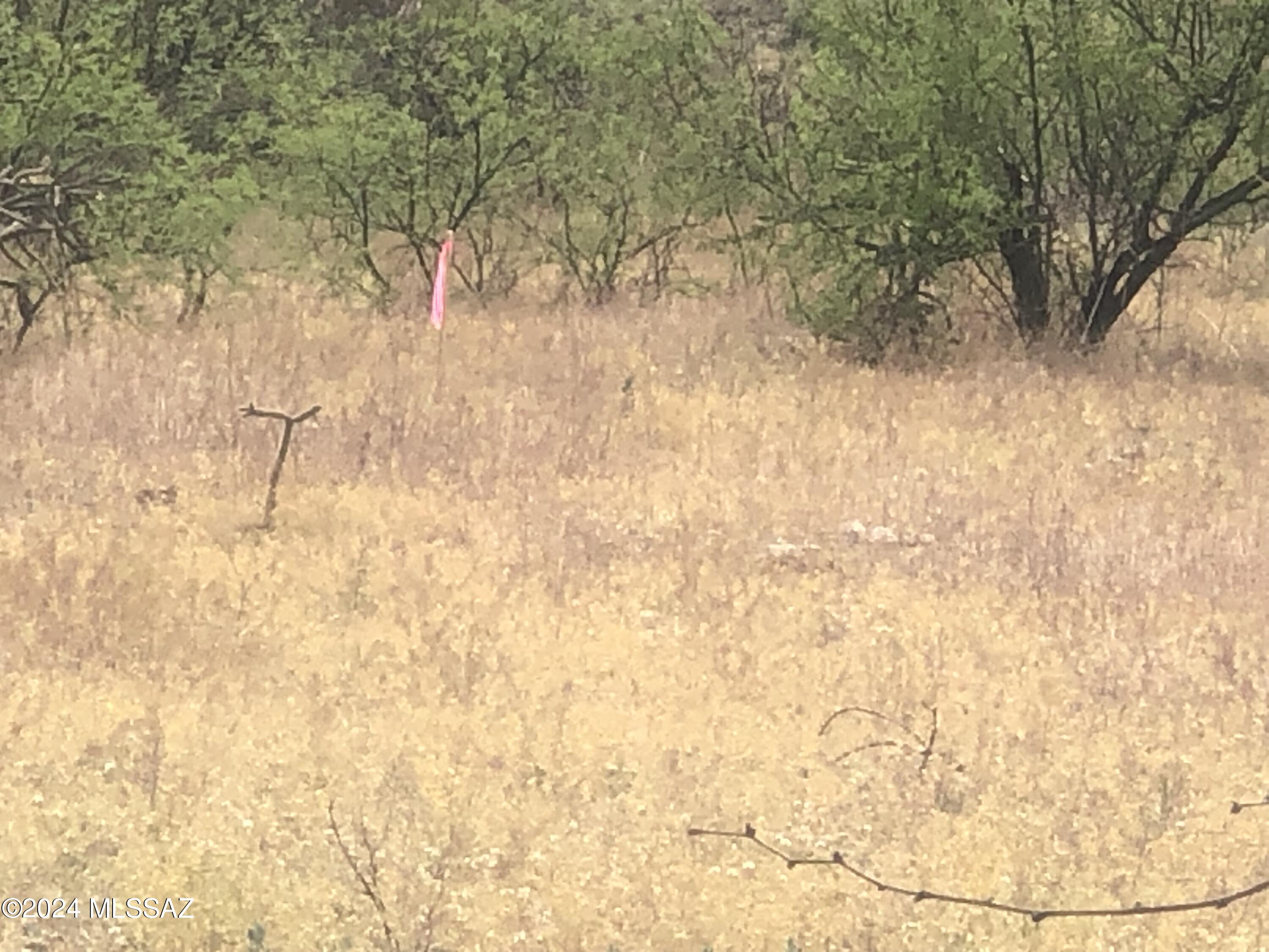 1072 Vereda Guadalajara, Unit 19 Rio Rico, AZ 85648 - Photo 11 of 13