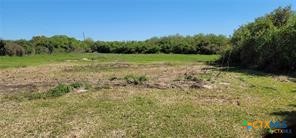 496 Romona Road Seadrift, TX 77983 - Photo 19 of 35 a view of a grassy field with trees in the background