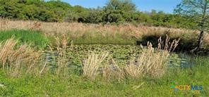 496 Romona Road Seadrift, TX 77983 - Photo 23 of 35 a view of a lake in between green field and plants